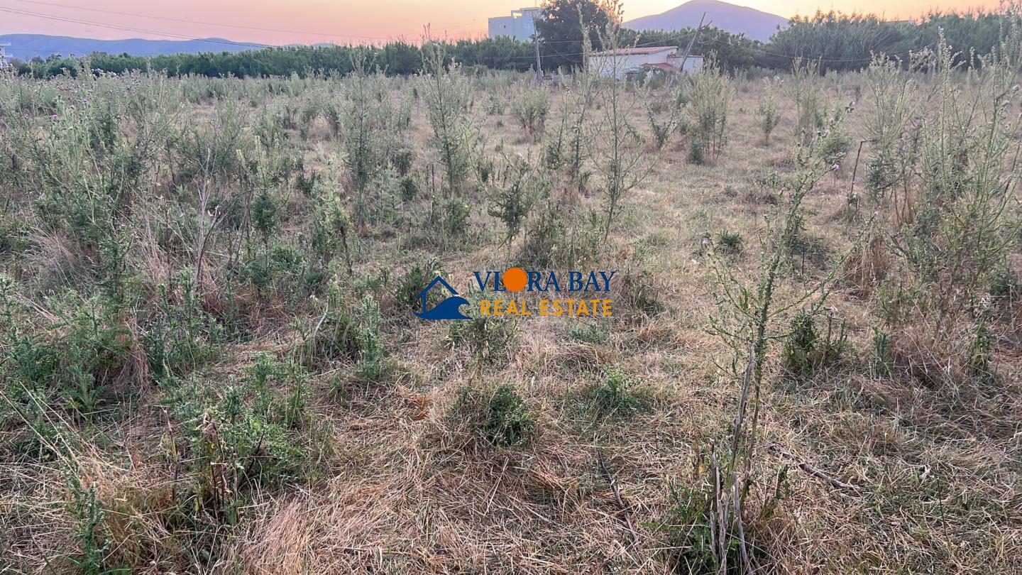 4D6E635D-0EF5-4A1A-AB90-7E256D4475D6