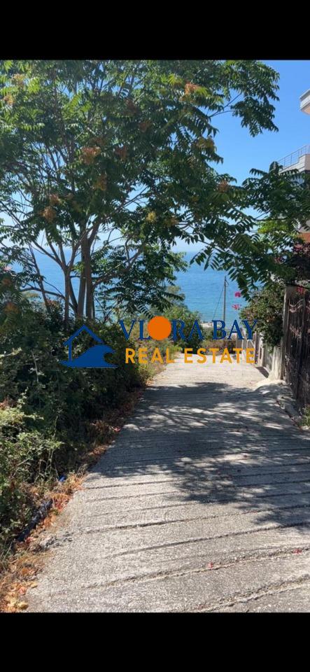 PHOTO-2025-08-12-15-31-08